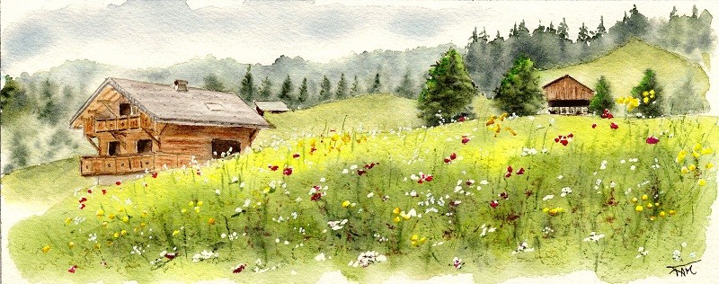 Le chalet dans la prairie